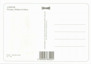 Princes William and Harry Portraits Postcard E45