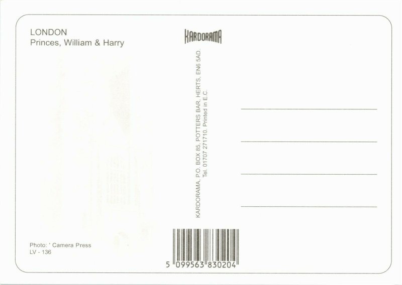 Princes William and Harry Portraits Postcard E45
