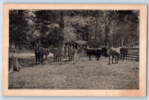 Manchester Iowa Postcard Illinois Central Railroad Company Agricultural States