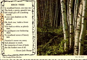 Birch Trees With Poem By Ernest Jack Sharpe