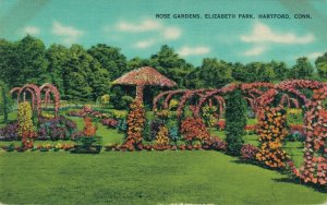 USA Rose Gardens Elizabeth Park Hartford Connecticut Linen Postcard 07.71