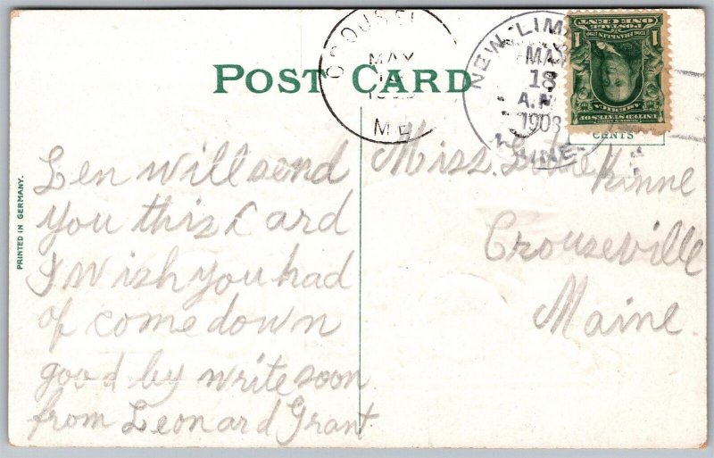 Vtg Birthday Greetings Roses Flowers Dove Lace Gold Gilt Embossed 1909 Postcard