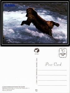 Alaskan Brown Bear Fishing for Salmon (23644