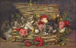 D. Merlin Fluffy Gray and White Kittens in Basket Vintage Postcard 