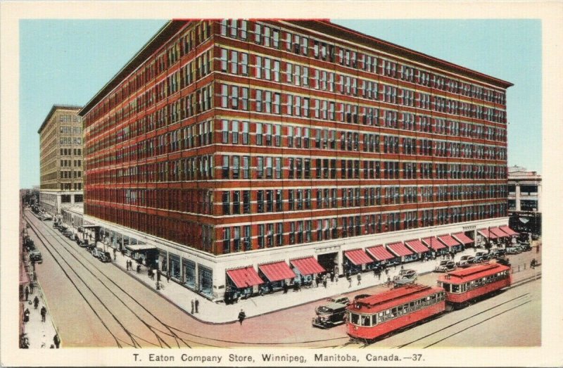 T. Eaton Company Store Winnipeg MB Manitoba Streetcar Unused PECO Postcard G49