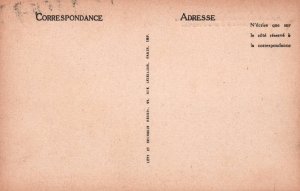 Le Chateau,Chinon,France BIN