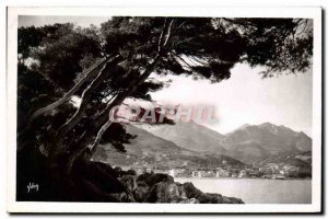Postcard Moderne Menton Le Massif Alpine