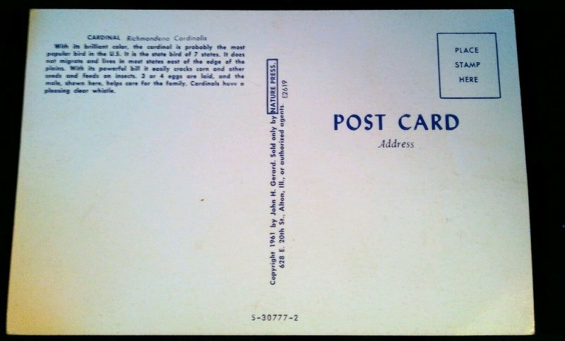 1961 Unused NATURE PRESS Postcard~ Bird (Cardinal)