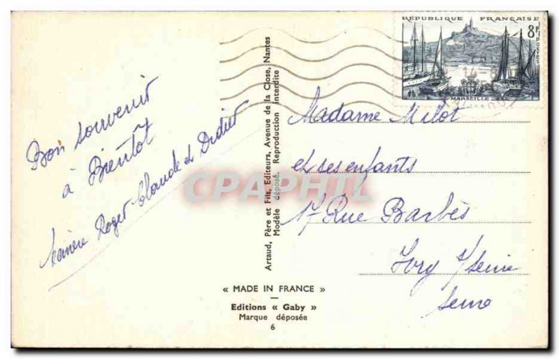 Humor - Illustration - Pigeon Fly - beach - beach - Old Postcard