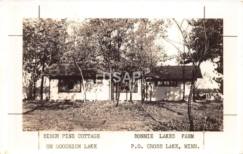 Minnesota Mn RPPC Postcard c1940s CROSS LAKE Birch Pine COttage Goodrich Lake