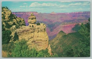 Arizona~~Vintage Postcard