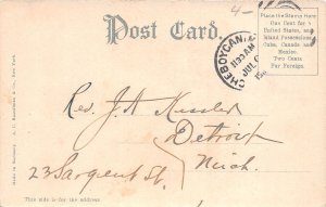 J35/ Port Huron Michigan Postcard c1910 Pavilion Pine Grove Park  193