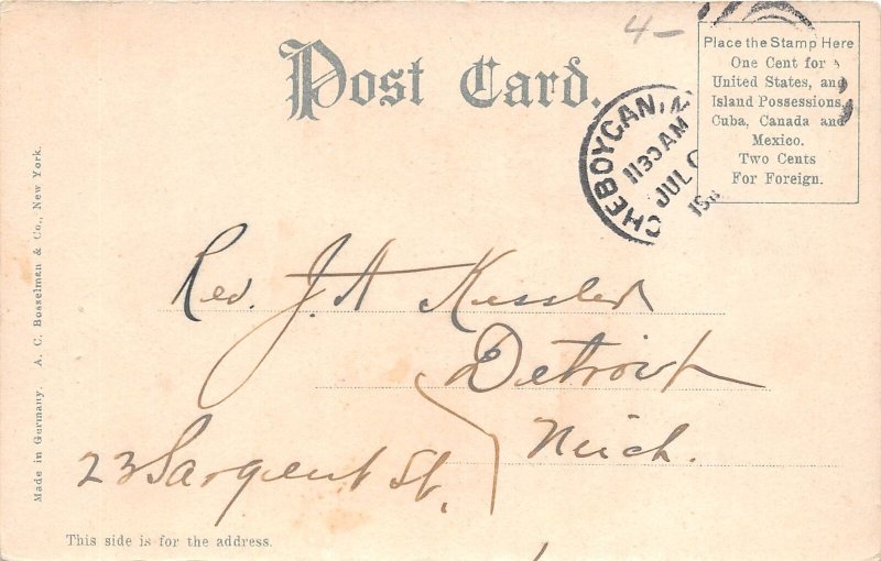 J35/ Port Huron Michigan Postcard c1910 Pavilion Pine Grove Park  193