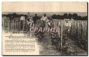 Postcard Old Wine Harvest miseries TOP winemakers