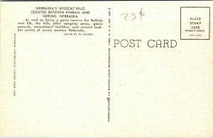 Nebraska's Wildcat Hills between Kimball and Gering Nebraska Postcard