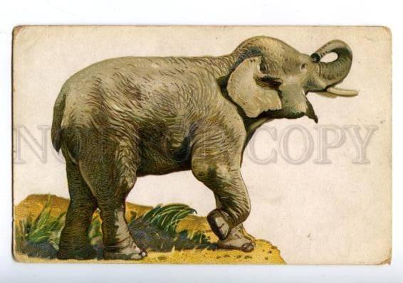 158728 Hunt ELEPHANT Vintage Russian RARE PC