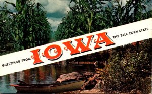 Iowa Greetings From The Tall COrn STate 1956