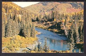 Fishing Stream,Alaska