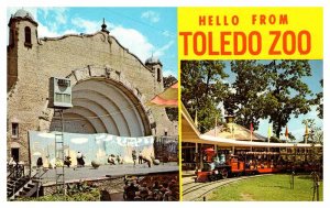 Postcard ZOO SCENE Toledo Ohio OH AS2831