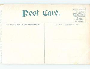 Unused Divided-Back RUISSEAUMONT HOTEL Adirondacks - Tupper Lake NY B1848