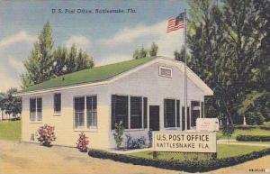 Florida Rattlesnake U S Post Office Curteich