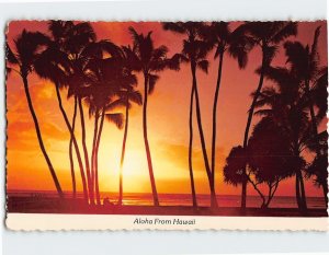 Postcard Aloha From Hawaii