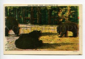 3157787 Hunt BEAR Good wishes to you Vintage Asheville PC