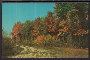 Nature's Autumn Color,Door County,WI BIN