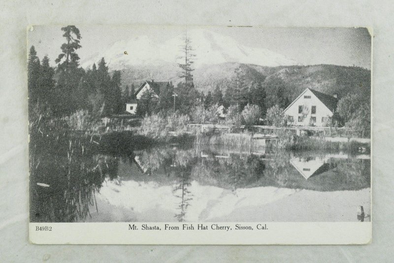 C.1910 Mt. Shasta, From Fish Hat Cherry, Sisson, Cal. Vintage Postcard P105