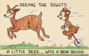 Seeing The Sights - Humor - Little Deer with a Bear Behind