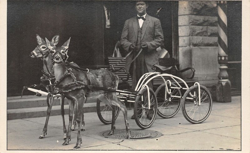 J5/ Sandpoint Idaho RPPC Postcard c1910 Babe& Buster Deer-Drawn Wagon 93