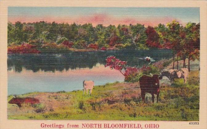 Ohio Greetings From North Bloomfield