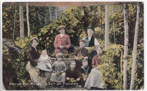 Social History; Kentish Hop Gardens, A Set Of Hop Pickers PPC 1912 Chartham PMK