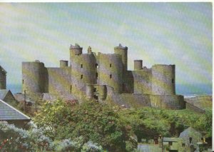 Wales Postcard - Harlech Castle - Merioneth - View from East -TZ8568