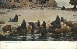 Seals on the Alaska Coast TUCK #5191 c1910 Postcard