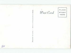 Pre-1980 Risque Comic MAN WITH MANY BIKINI GIRLS AB7052