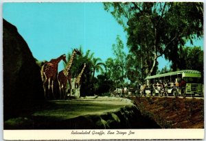 Postcard - Reticulated Giraffe, San Diego Zoo - San Diego, California