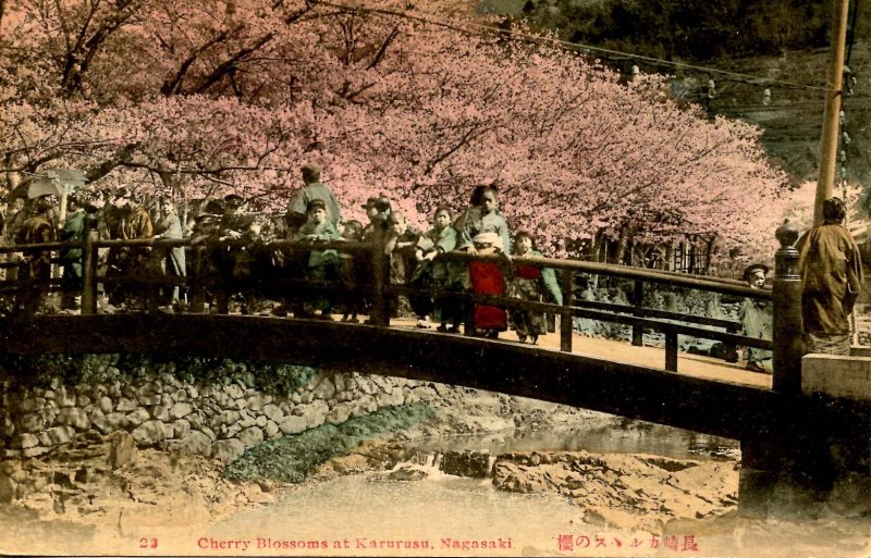 Japan - Nagasaki. Cherry Blossoms at Karurusu