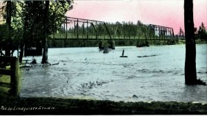 c1910 Steel Bridge Over Flathead River Kalispell Montana MT Antique Postcard