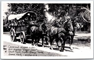 Covered Wagon Rides Bill Higdon Knott Berry Farm Buena Park California Postcard