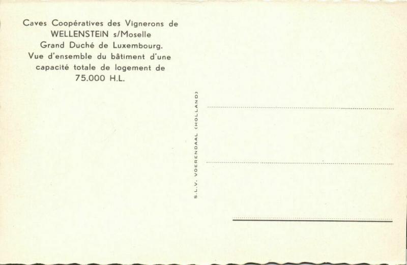 luxemburg, WELLENSTEIN, Caves Coopératives des Vignerons (1950s) Postcard