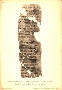 Leaf Of Vellum Codex Latin 4th Century Manuscript Old Museum Postcard