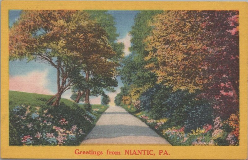 Postcard Greetings from Niantic PA