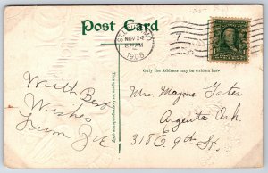 Holiday~Thanksgiving~Turkey~Farm Field Haystacks~Pumpkins~Emb~1908 Postcard