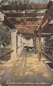 Ottawa Illinois~Ottawa Tuberculosis Colony~Men in Chairs Inside Pergola~1910 PC 