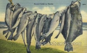 Record Catch Florida, USA Fishing Unused 