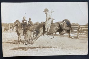 Mint USA RPPC Postcard Shorty Davis Miles City MT Round Up PF Photo