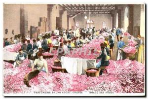 Old Postcard Collection Parfumerie Bruno Court Grasse Sorting roses TOP