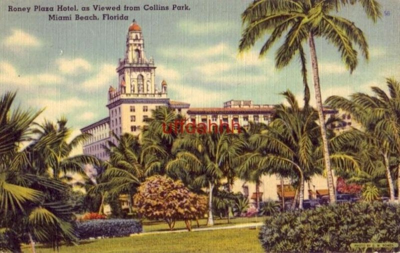 RONEY PLAZA HOTEL, AS VIEWED FROM COLLINS PARK. MIAMI BEACH, FL