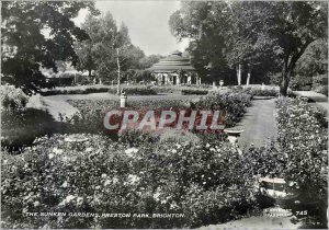 Modern Postcard The Sunken Gardens Preston Park Brighton